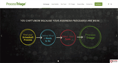 Desktop Screenshot of processtriage.com